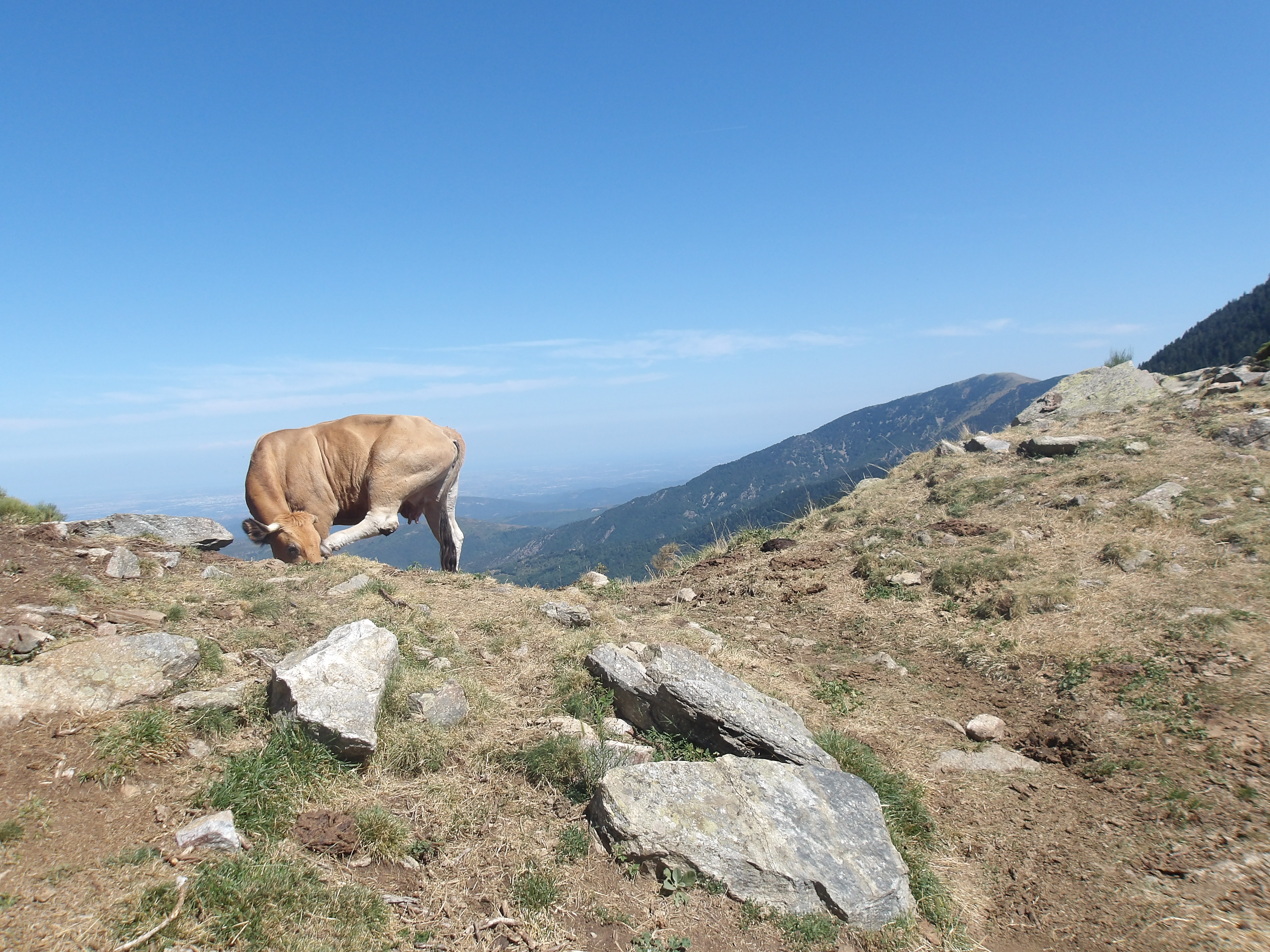 Trekking dans les Pyrénées sur le GR10 ~ 2024