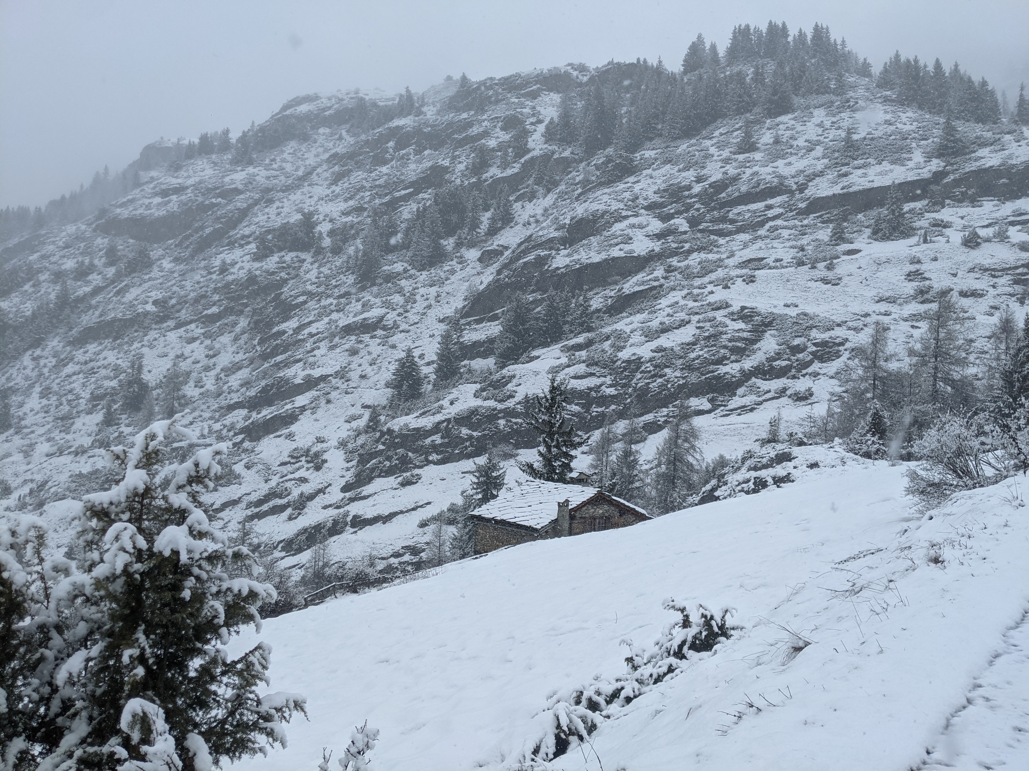 Une semaine dans les Alpes à Lanslevillard ~ 2026