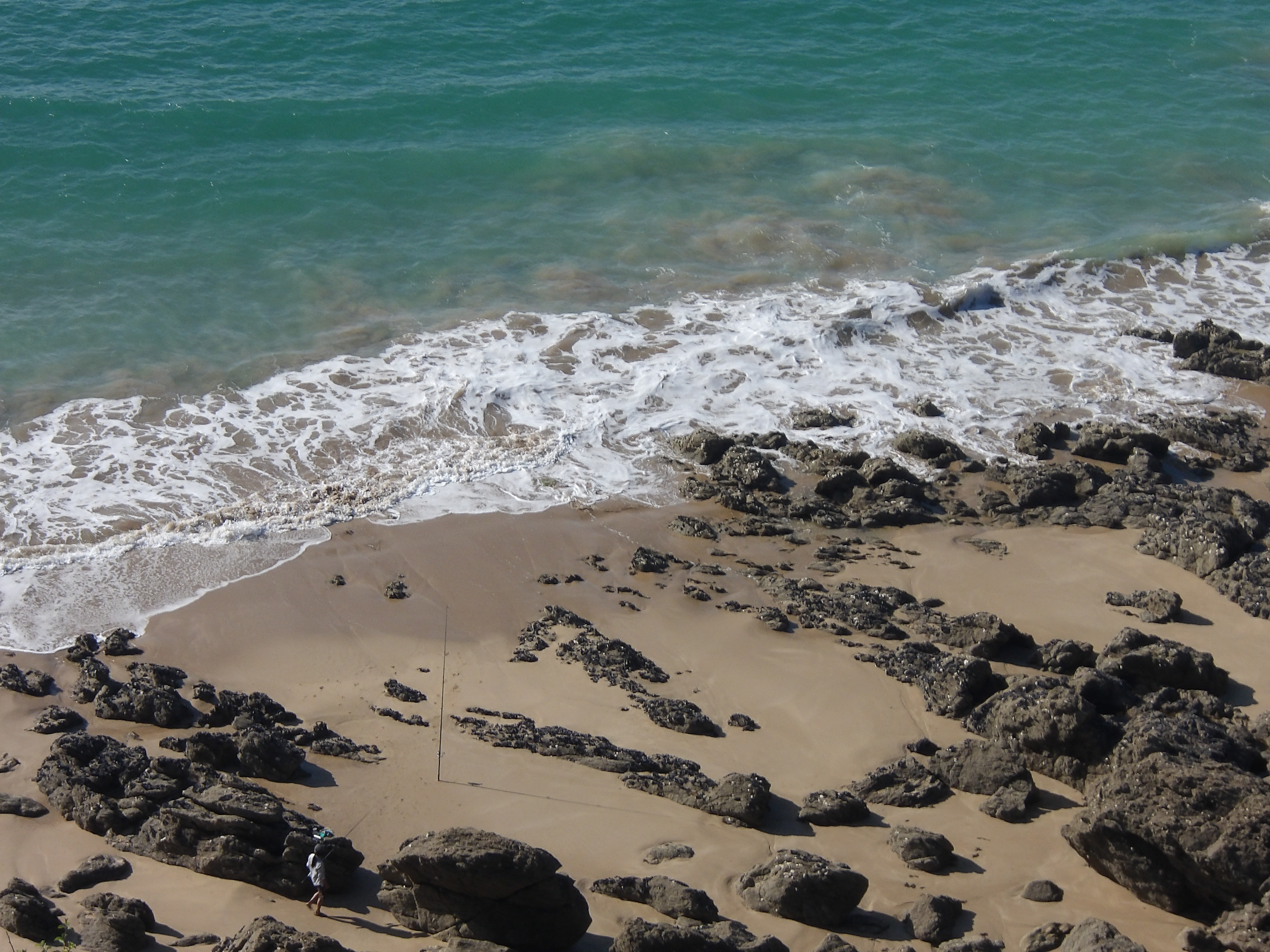 Un balade sur le littoral de La Baie du Mont-Saint-Michel ~ 2025