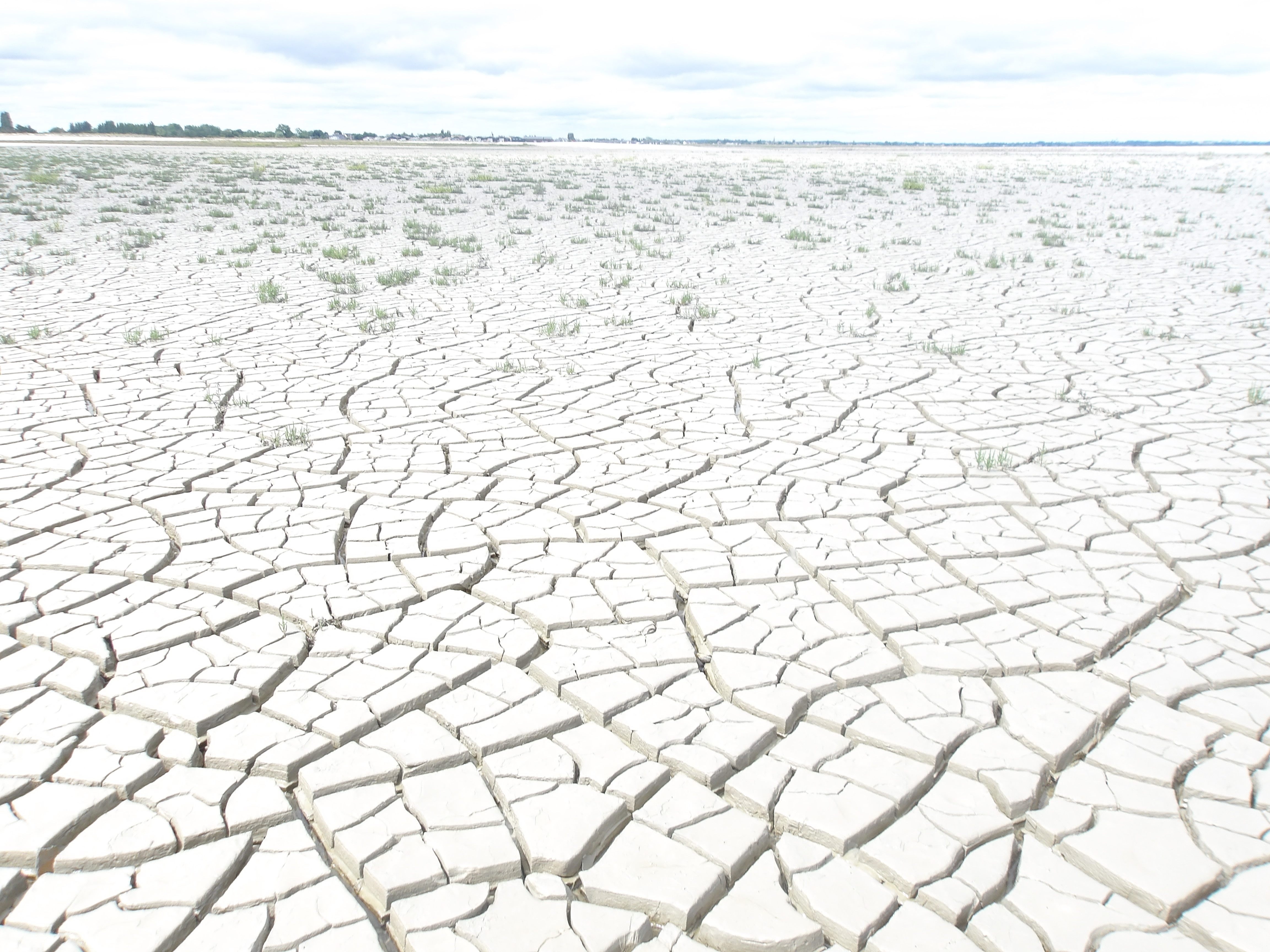 Un balade sur le littoral de La Baie du Mont-Saint-Michel ~ 2025