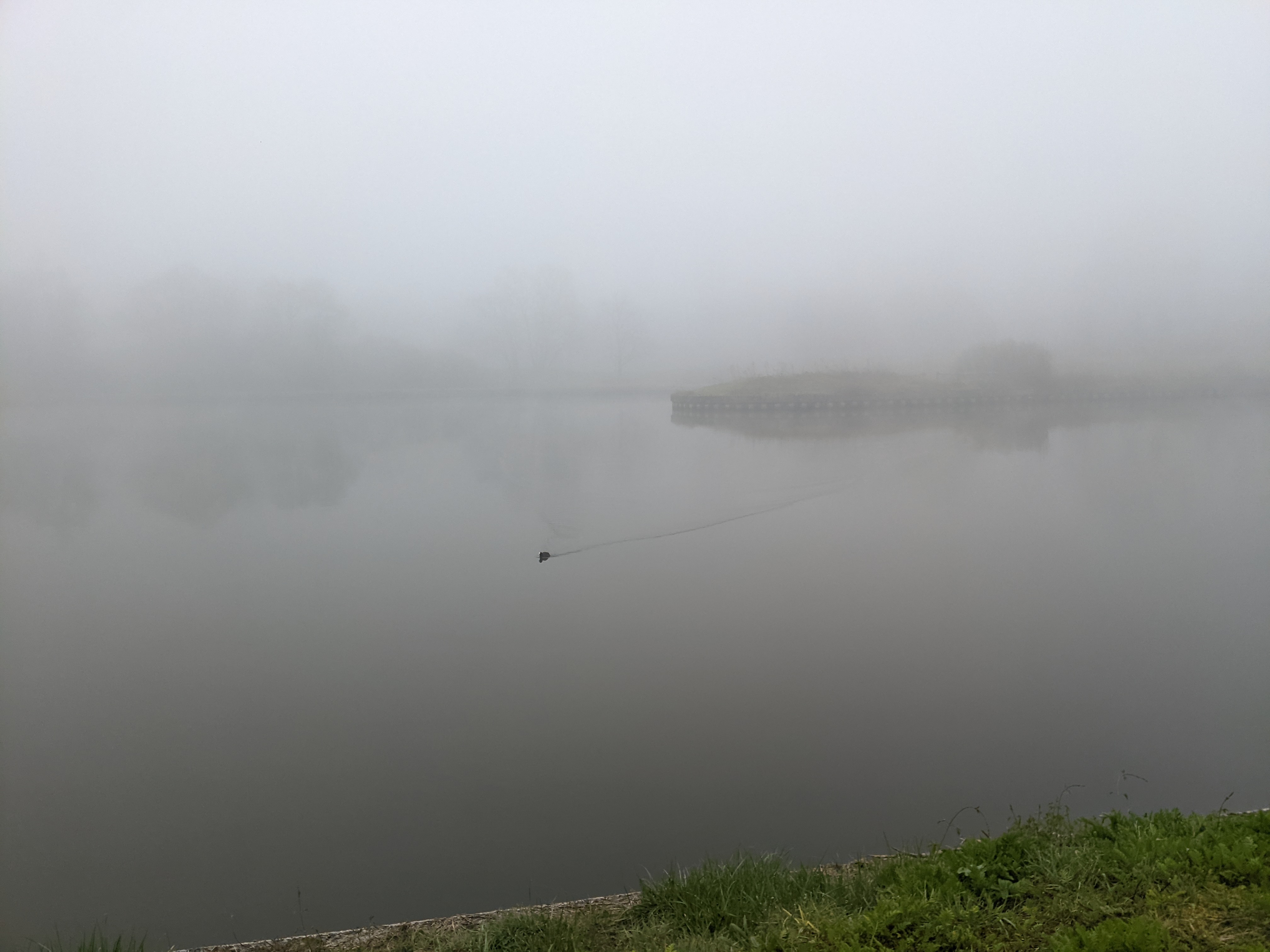 The daily commute ~ 2026