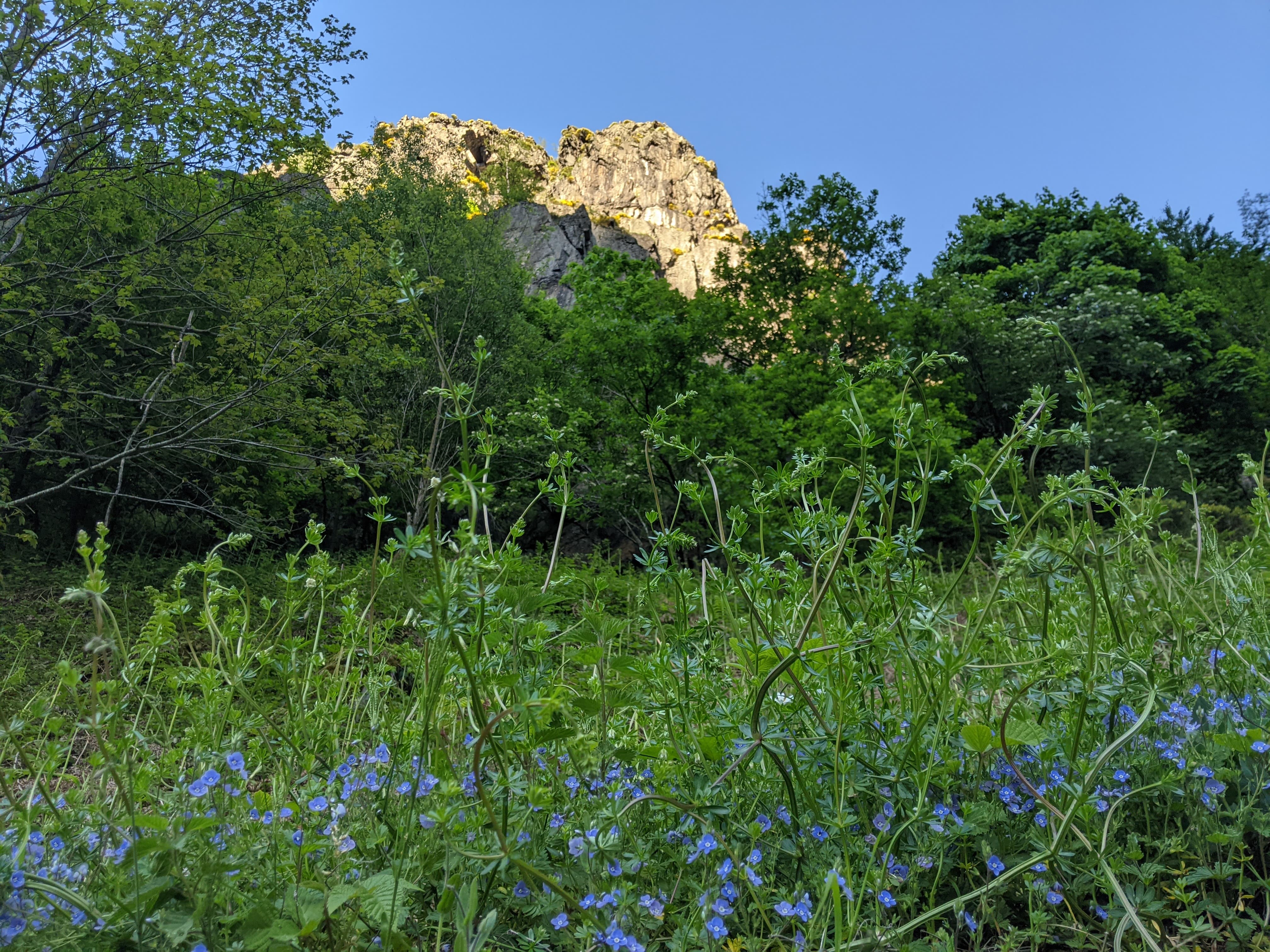 Weekend in Lyon climbing at 'Le gouffre d'enfer' ~ 2025