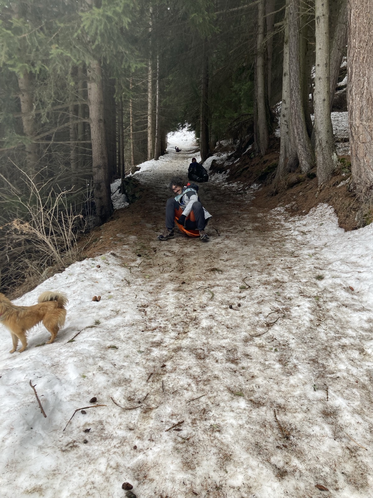 Une semaine dans les Alpes à Lanslevillard ~ 2026